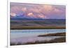 Birds in pond with Ear Mountain, Freezeout Lake Wildlife Management Area near Choteau, Montana-Chuck Haney-Framed Photographic Print