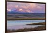 Birds in pond with Ear Mountain, Freezeout Lake Wildlife Management Area near Choteau, Montana-Chuck Haney-Framed Photographic Print