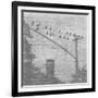 Birds In The Brooklyn Sky-Sheldon Lewis-Framed Photo