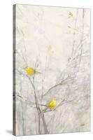 Birds in Trees II-Julia Purinton-Stretched Canvas