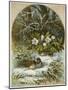 Birds in Winter-English School-Mounted Giclee Print