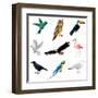 Birds Isolated on White Vector Set-andegro4ka-Framed Art Print