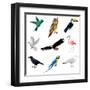 Birds Isolated on White Vector Set-andegro4ka-Framed Art Print