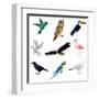 Birds Isolated on White Vector Set-andegro4ka-Framed Art Print