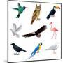 Birds Isolated on White Vector Set-andegro4ka-Mounted Art Print