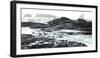 Birds Landing Along the Pacific Coast, Olympic National Park, Washington-Steven Gnam-Framed Photographic Print