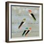 Birds Life - Friendship-Dominique Vari-Framed Art Print