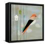 Birds Life - Home Sweet Home-Dominique Vari-Framed Stretched Canvas