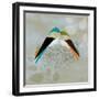 Birds Life - Love Nest-Dominique Vari-Framed Art Print