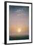 Birds, Mist and Muted Sun, Merced Wildlife Refuge-null-Framed Photographic Print