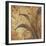 Birds of a Feather II-Tandi Venter-Framed Giclee Print