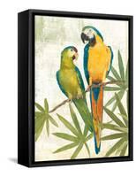 Birds of a Feather III Crop-Avery Tillmon-Framed Stretched Canvas