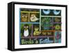 Birds of a Feather-Lisa Choate-Framed Stretched Canvas