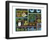 Birds of a Feather-Lisa Choate-Framed Art Print