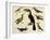 Birds of Brazil, from South America, 1827-null-Framed Giclee Print