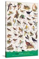 Birds of Fields and Gardens-null-Stretched Canvas