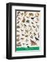 Birds of Fields and Gardens-null-Framed Art Print