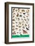 Birds of Fields and Gardens-null-Framed Art Print