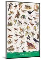 Birds of Fields and Gardens-null-Mounted Art Print