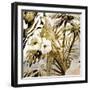 Birds of Paradise 2-Kimberly Allen-Framed Art Print