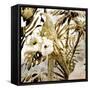 Birds of Paradise 2-Kimberly Allen-Framed Stretched Canvas