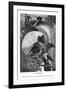 Birds of Paradise, C1770-1820-Messrs Sly and Wilson-Framed Giclee Print
