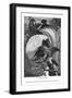 Birds of Paradise, C1770-1820-Messrs Sly and Wilson-Framed Giclee Print