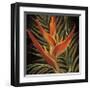 Birds of Paradise I-Yvette St^ Amant-Framed Giclee Print