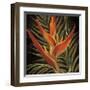 Birds of Paradise I-Yvette St^ Amant-Framed Giclee Print