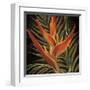 Birds of Paradise I-Yvette St^ Amant-Framed Giclee Print