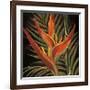 Birds of Paradise I-Yvette St^ Amant-Framed Giclee Print