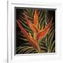 Birds of Paradise I-Yvette St^ Amant-Framed Giclee Print