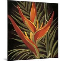 Birds of Paradise I-Yvette St^ Amant-Mounted Giclee Print