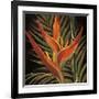 Birds of Paradise I-Yvette St^ Amant-Framed Giclee Print