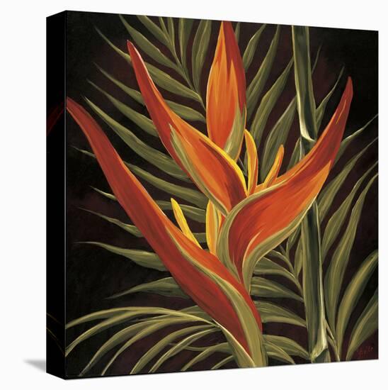 Birds of Paradise I-Yvette St.Amant-Stretched Canvas