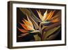 Birds of Paradise I-Lea Faucher-Framed Art Print