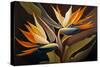 Birds of Paradise I-Lea Faucher-Stretched Canvas