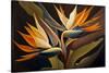 Birds of Paradise I-Lea Faucher-Stretched Canvas