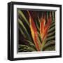 Birds of Paradise II-Yvette St^ Amant-Framed Giclee Print