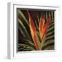 Birds of Paradise II-Yvette St^ Amant-Framed Giclee Print