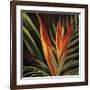 Birds of Paradise II-Yvette St^ Amant-Framed Giclee Print