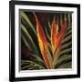 Birds of Paradise II-Yvette St^ Amant-Framed Giclee Print