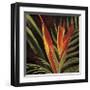 Birds of Paradise II-Yvette St^ Amant-Framed Giclee Print