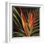 Birds of Paradise II-Yvette St^ Amant-Framed Giclee Print