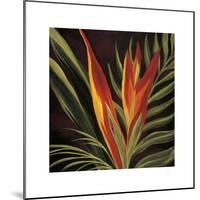 Birds of Paradise II-Yvette St^ Amant-Mounted Giclee Print
