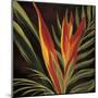 Birds of Paradise II-Yvette St^ Amant-Mounted Giclee Print