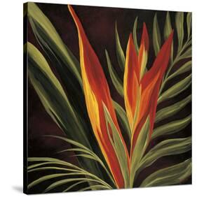 Birds of Paradise II-Yvette St.Amant-Stretched Canvas