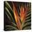 Birds of Paradise II-Yvette St.Amant-Stretched Canvas