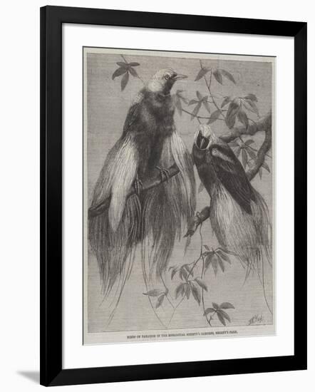 Birds of Paradise in the Zoological Society's Gardens, Regent's Park-Friedrich Wilhelm Keyl-Framed Giclee Print