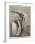 Birds of Paradise in the Zoological Society's Gardens-null-Framed Giclee Print